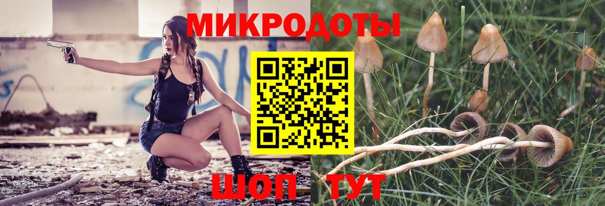 Галлюциногенные грибы мицелий Гулькевичи