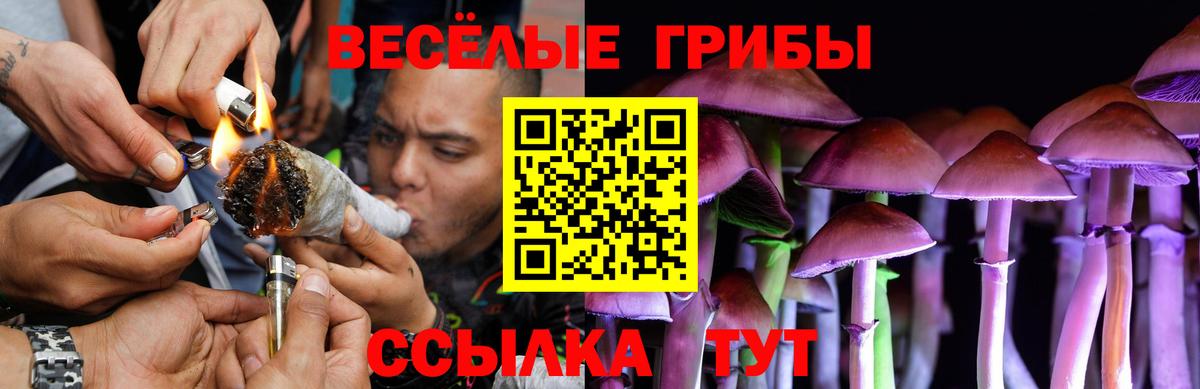Галлюциногенные грибы Cubensis  Вход с VPN  Гулькевичи 